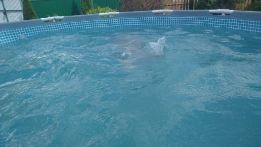 ������ ����������� ������ ��� �������� � �� ������ �������