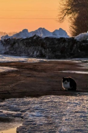 ����� � ����������� ������