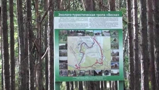 � ���������� ������ �������� �������� ������ � 21 ������������� ������