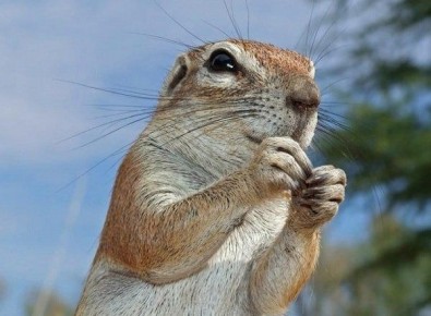 �����-������: ��� ���������� ����� �� �������