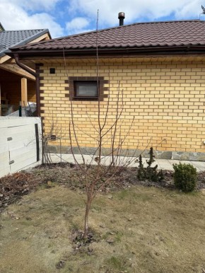 ������ ���� � �������� �����: ������� ����� ������� � ����� �� �������