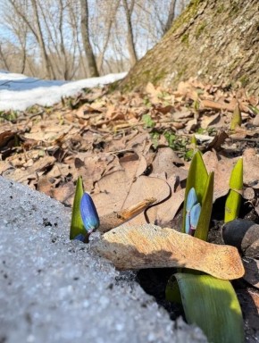 � ����� ������� ����������-����������� � �������� ��������� ����������!