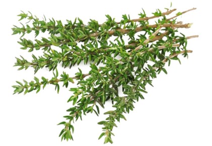 ������: ��������� ��������, ������������ ��������