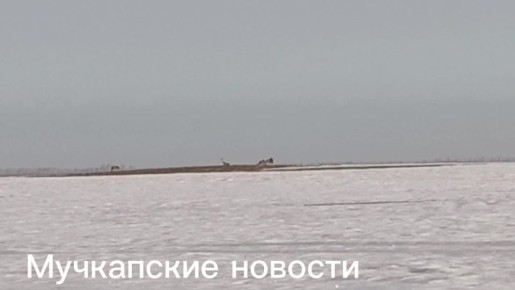 В Мучкапском округе заметили первых вернувшихся с зимовки журавлей