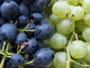 ������� ���������� ��������� ��������� ��� ������ �������