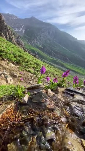 ������ �������� ���������