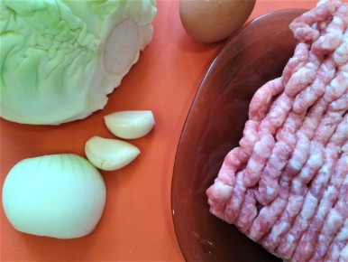 �������� � �������� � �������: ��������� ��������� ����� � ������