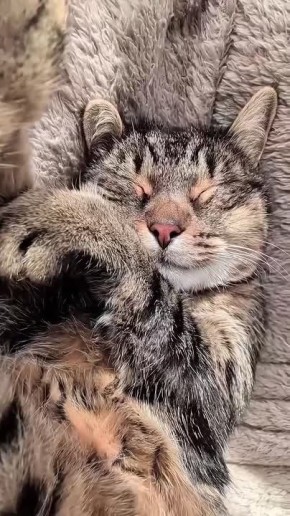 Субботнее настроение