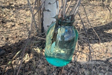 �������� ��� �������� � ���������� ������ ���������� �������