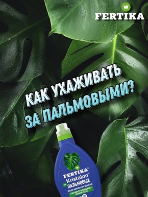 ��� ��������� ��������� �� ���������� ���������� � �������� ��������