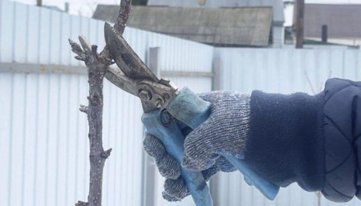 ����������� ����������������� �� ���������� ������� ���������� � �������� �������� ������� �������� ��������