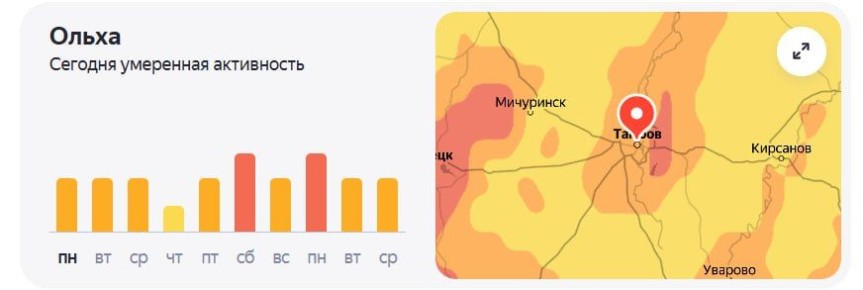 Для аллергиков начался сложный сезон