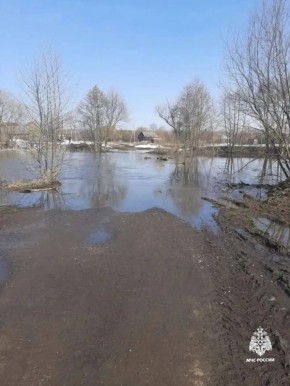 В Пичаевском округе Тамбовской области затопило низководный мост