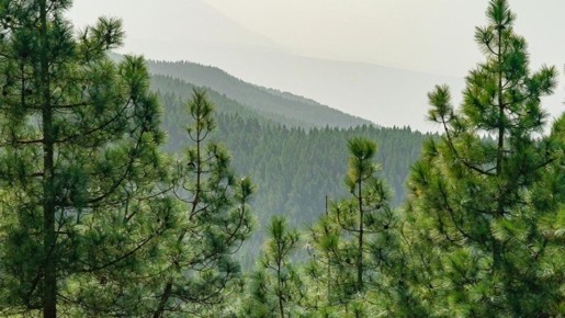 ������� ������������� ������������� � ��������������� ����������� amid heated debate