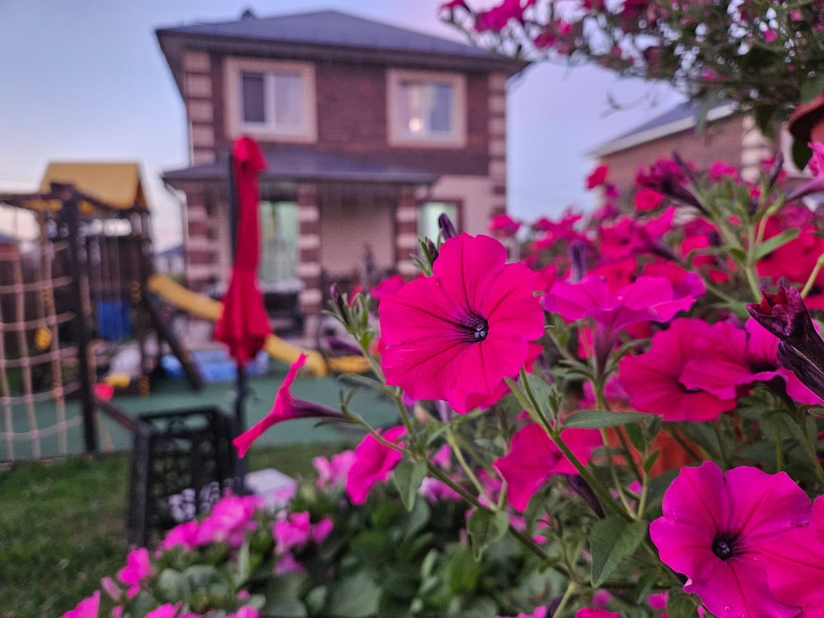 Цветочные решения, которые вдохновляют: от необычного до классического