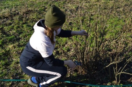 ������ ������� ���������: ������� ��� ������� ������