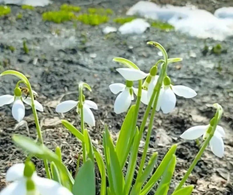 ���������� ������������ � ������������ ������