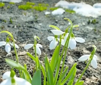 ���������� ������������ � ������������ ������