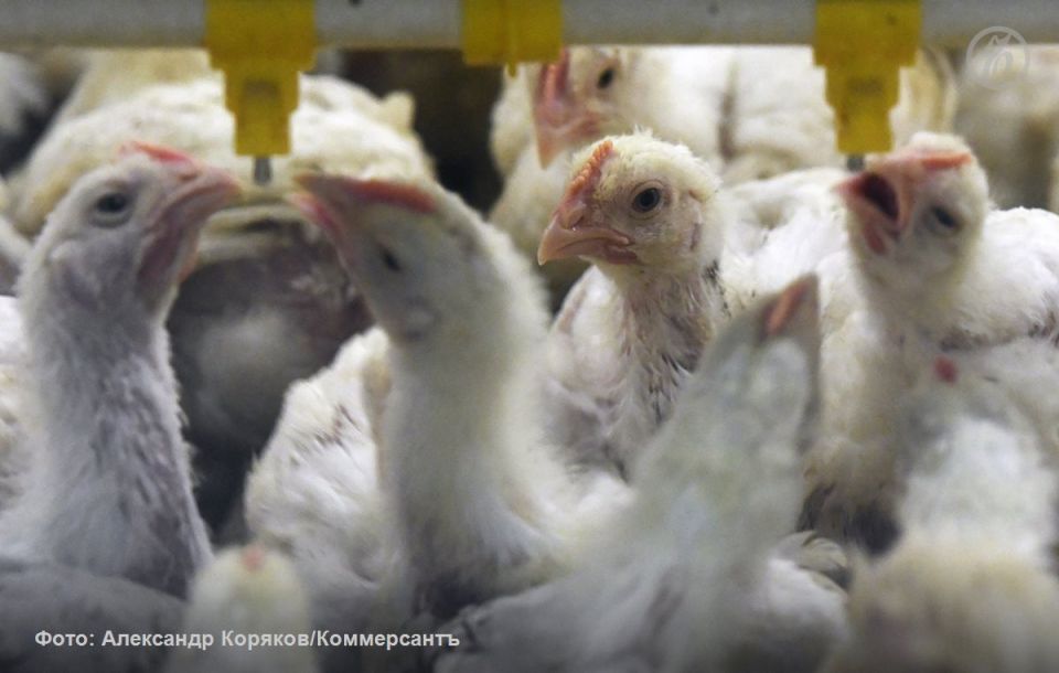 ���������� ��������� ����� ����� ������� ����� � ��� �������