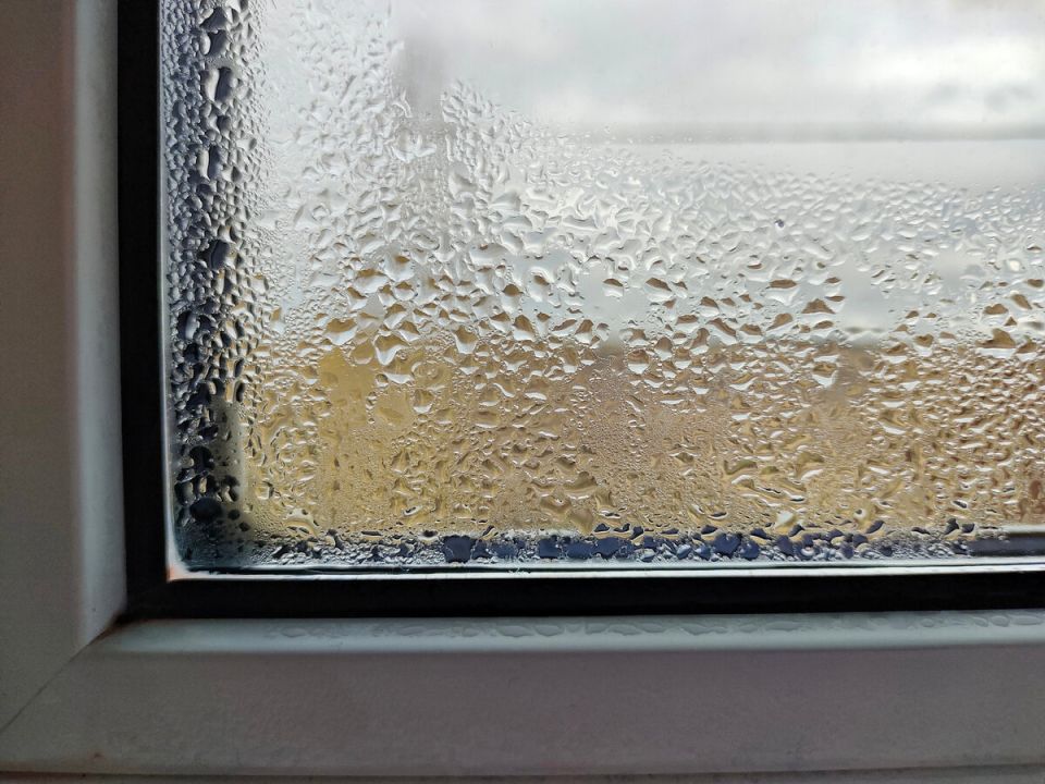 ��� �������� ���������� �� �����: ������� � �������