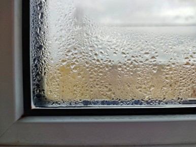 ��� �������� ���������� �� �����: ������� � �������