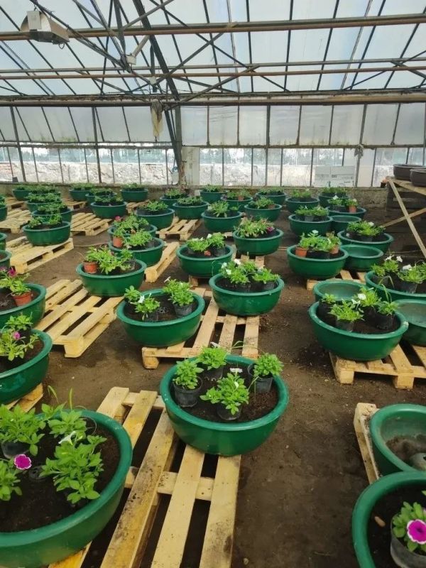 � �������� ��������� ������ ��� ������ ����� � ������� � ������� ��� ������� � �������