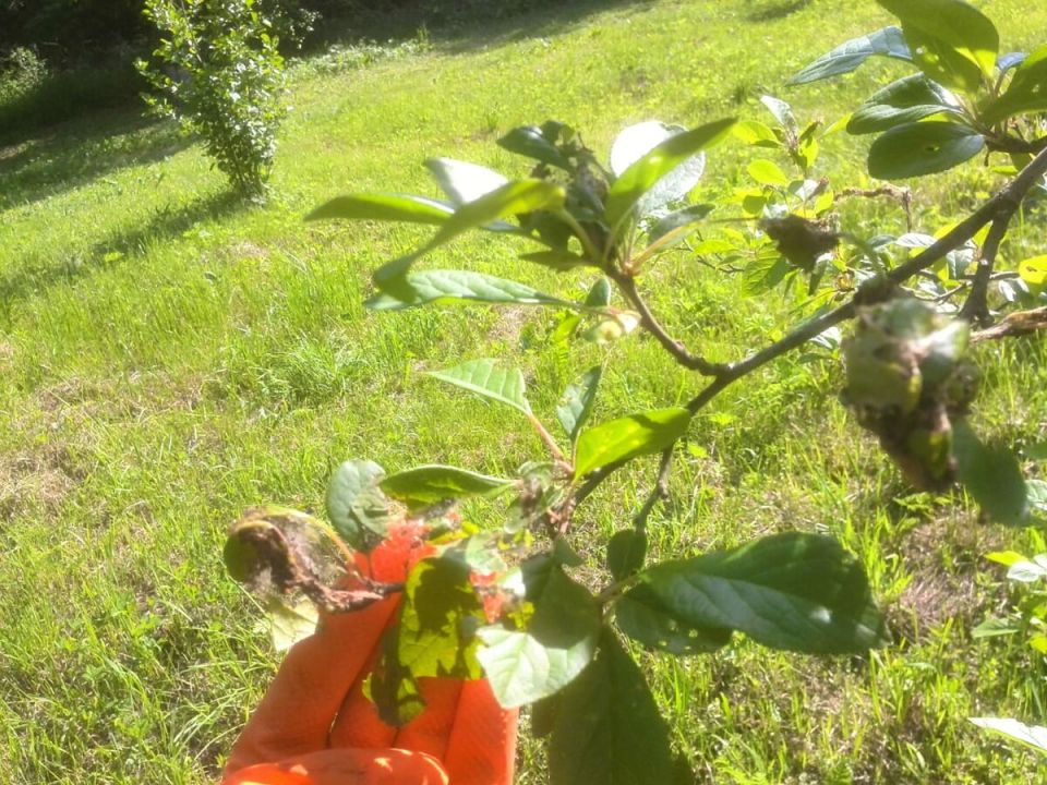 ��� ���������� ���������� � ���� �� �����: ������ � ��������