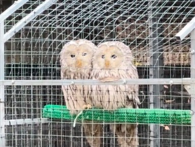 � ���� ����� �� "���������� �����" ����� ���������