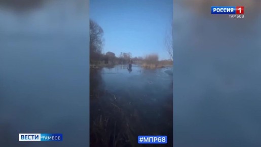 � ���������� ����������� ������������ ������ ���������� ��������� ����, ���������� �������� ���� 31-������ �����������, �������� ����������� � ���������� ������� � ��������� ��������������