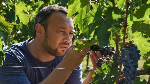 ����� ����: ������ � ������� ���������� ������ ���������