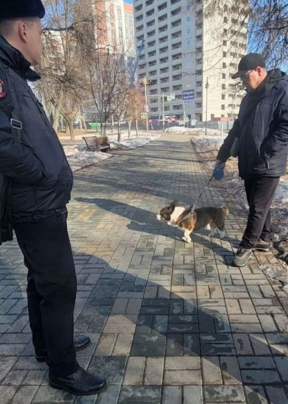 � ������� ������ ���� �� �������� �� ������� ��������