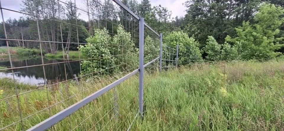 ����������� ������������ ������ �������� � ���� ������������� ��������� ��������� ����������������� ������ � ������