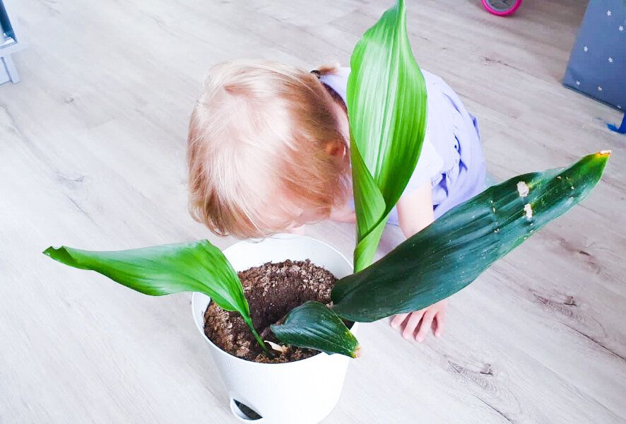 �������� ��� �������: 6 ��������� ��������� ��� ������� �����