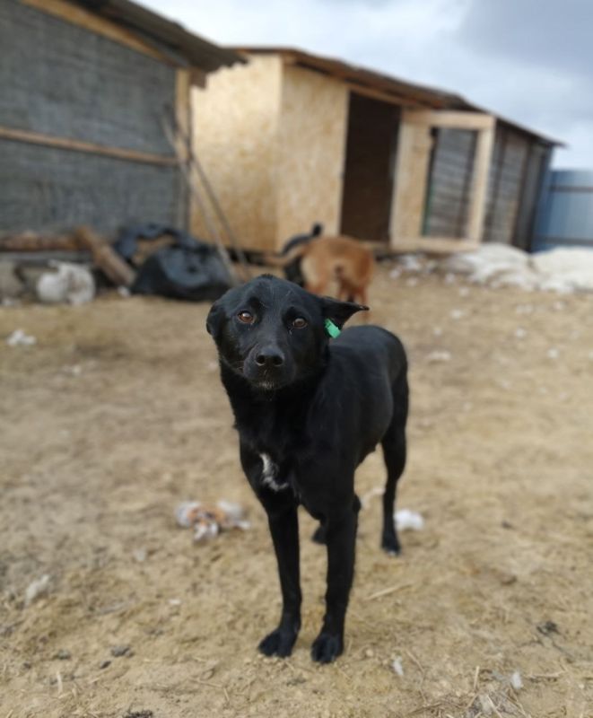 ���� �����: �������� ���� ���