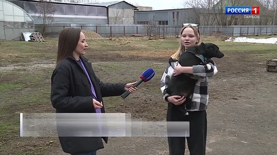 �� ��������� �������, � ��� ������, ��� ������ ����� ����� ������������ ������������ ������� ����� �����, � ������� �� ������������ � ������� ����� �������, ����������� � ����� �����