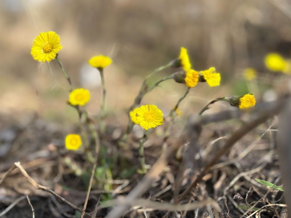 ������ ����� ���������� ���������� �����