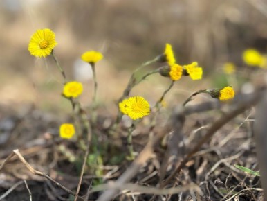 ������ ����� ���������� ���������� �����