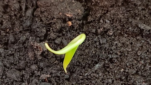 ��� ��������� ������� �����: ���� ����� � ������