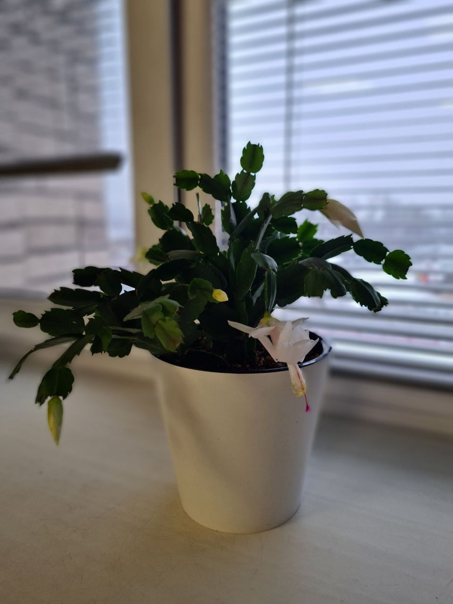 Приглашаем за стол: мир бутербродов с новой стороны