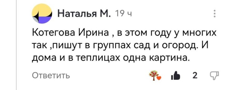 Проблемы с рассадой томатов: как справиться с заморозками и нехваткой питательных веществ