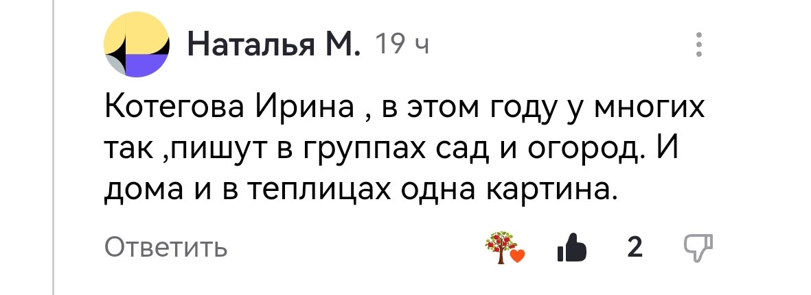 Проблемы с рассадой томатов: как справиться с заморозками и нехваткой питательных веществ