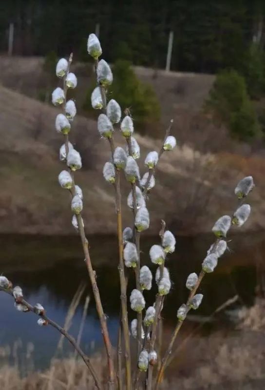 5 ������ - ������� �����������