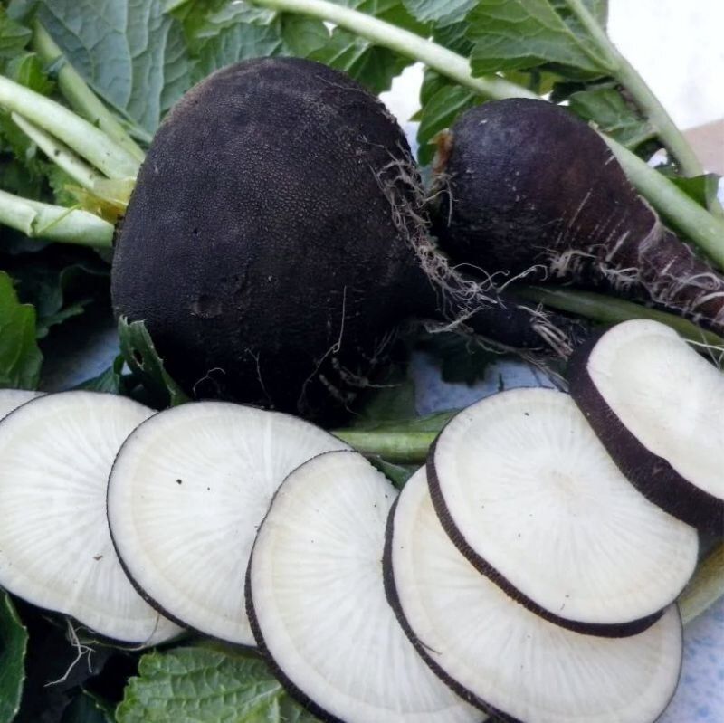 ������� ��������: ����, ������� ����� ����������� ���� ��������