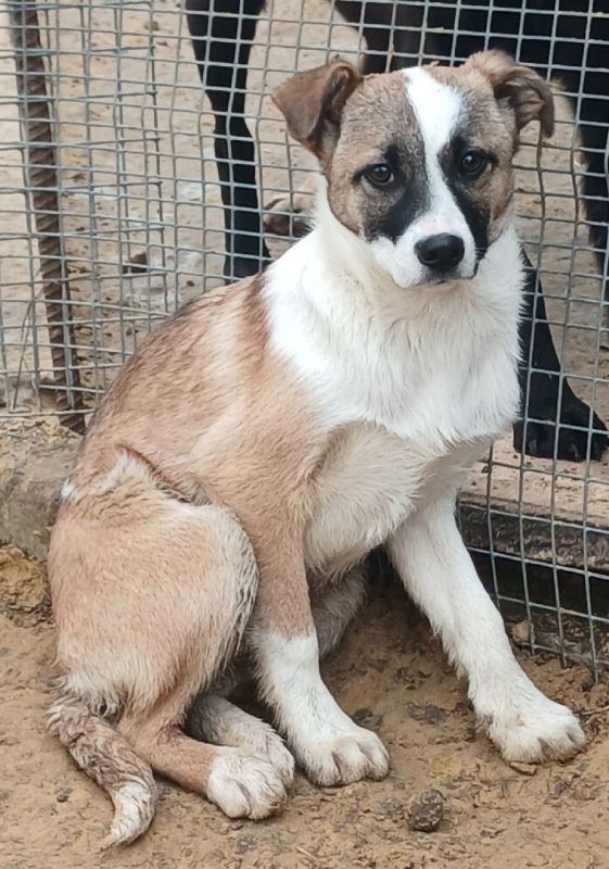 ���� �����: ����� ���� ���