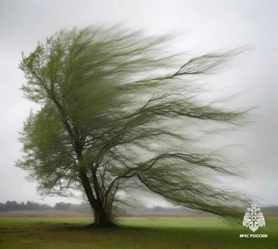 � ���������� ������� � ��������� 1-3 ���� � ����������� ����� 7 ������ ��������� �������� ���-��������� ����� �������� 15-20 �/�