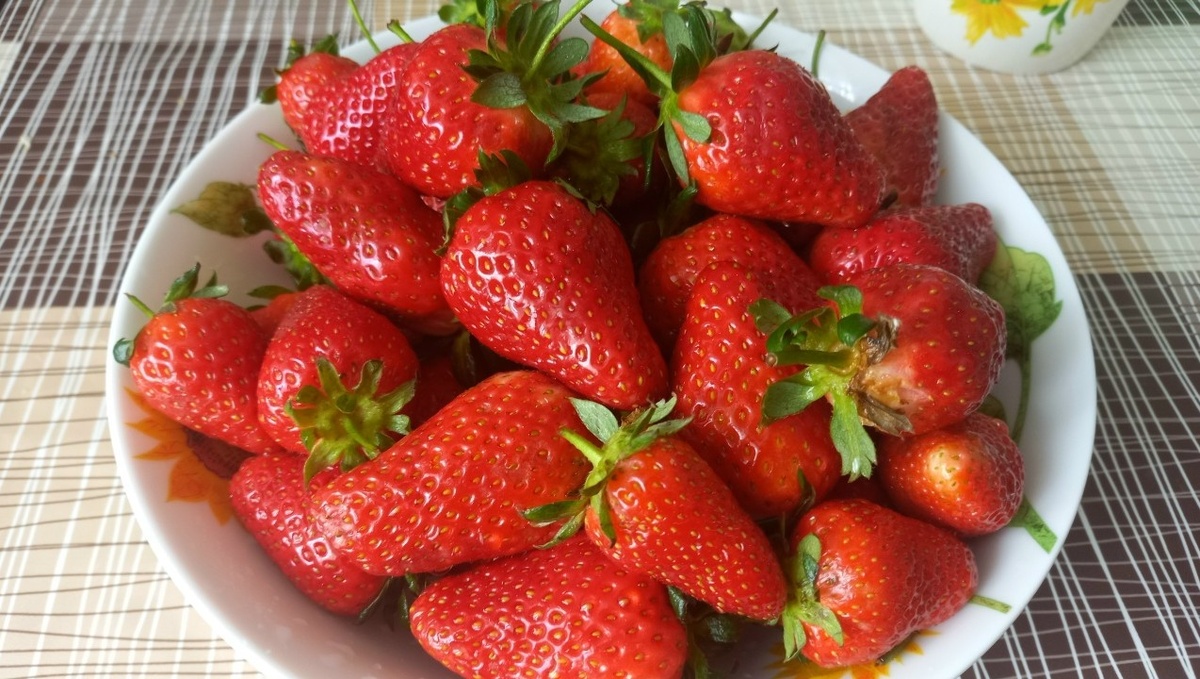 Как локальные продукты помогают замедлить старение: советы эксперта