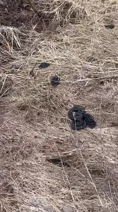 ������ ���������� � ����������� �����������