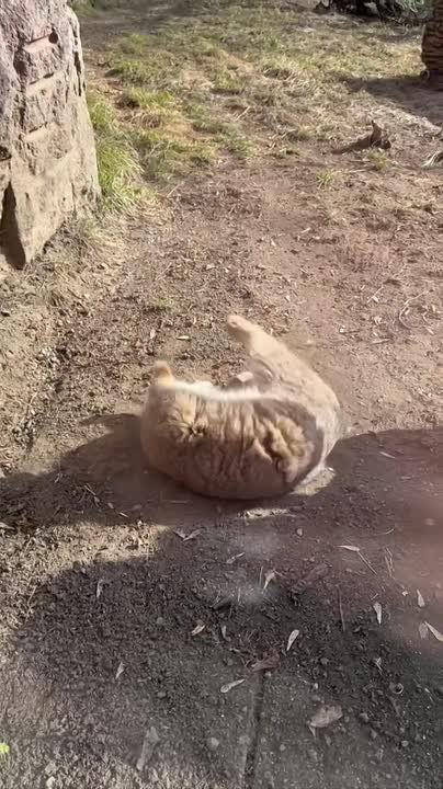 ����� ������� ������� � ����� ��������� ������