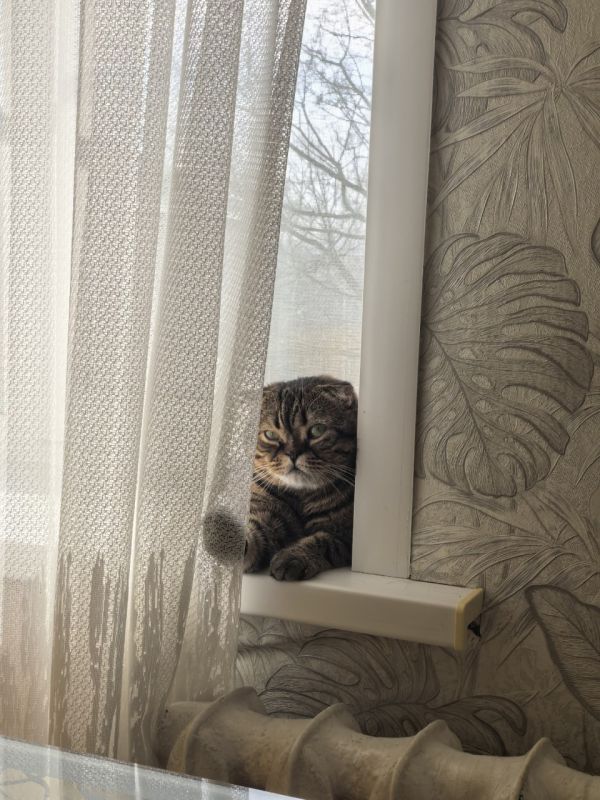 ���������� ����� ������� ������ ��������� ������� �� ������ ��������� ���������