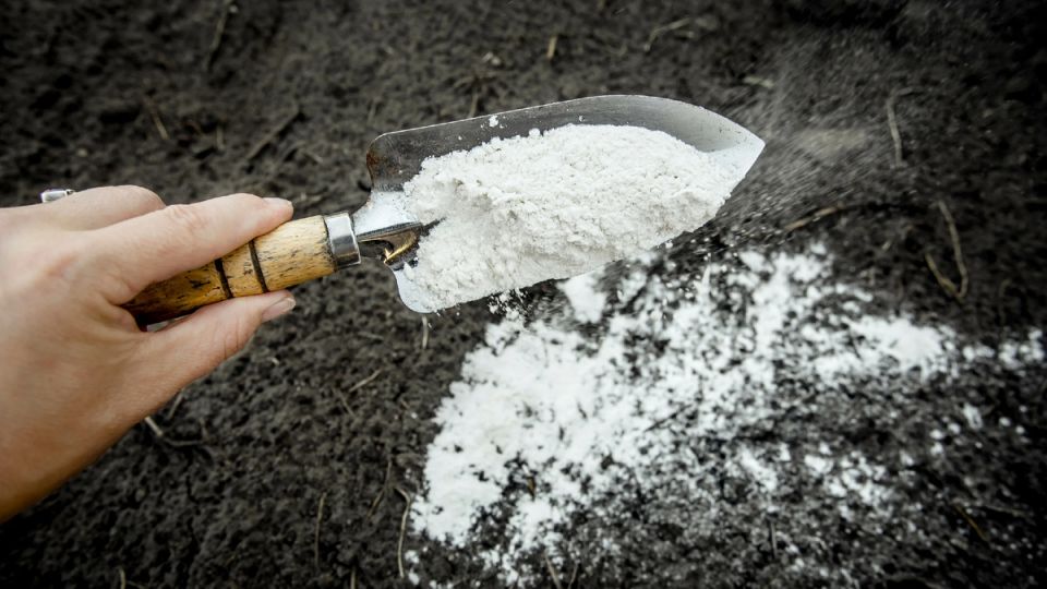 ��� ������������ ����� �������� ��� ������: ������� ���������� ���������